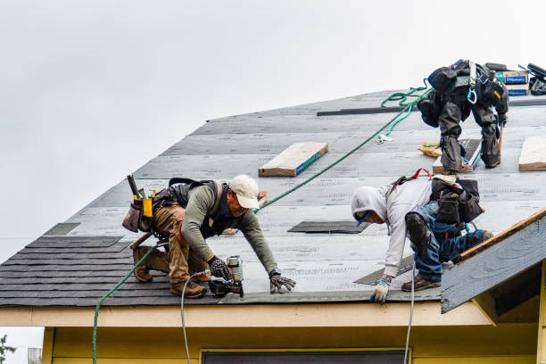 Professional Gutter Installation technician working in San Felipe, TX